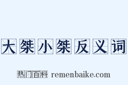 大桀小桀反义词是什么意思的图片